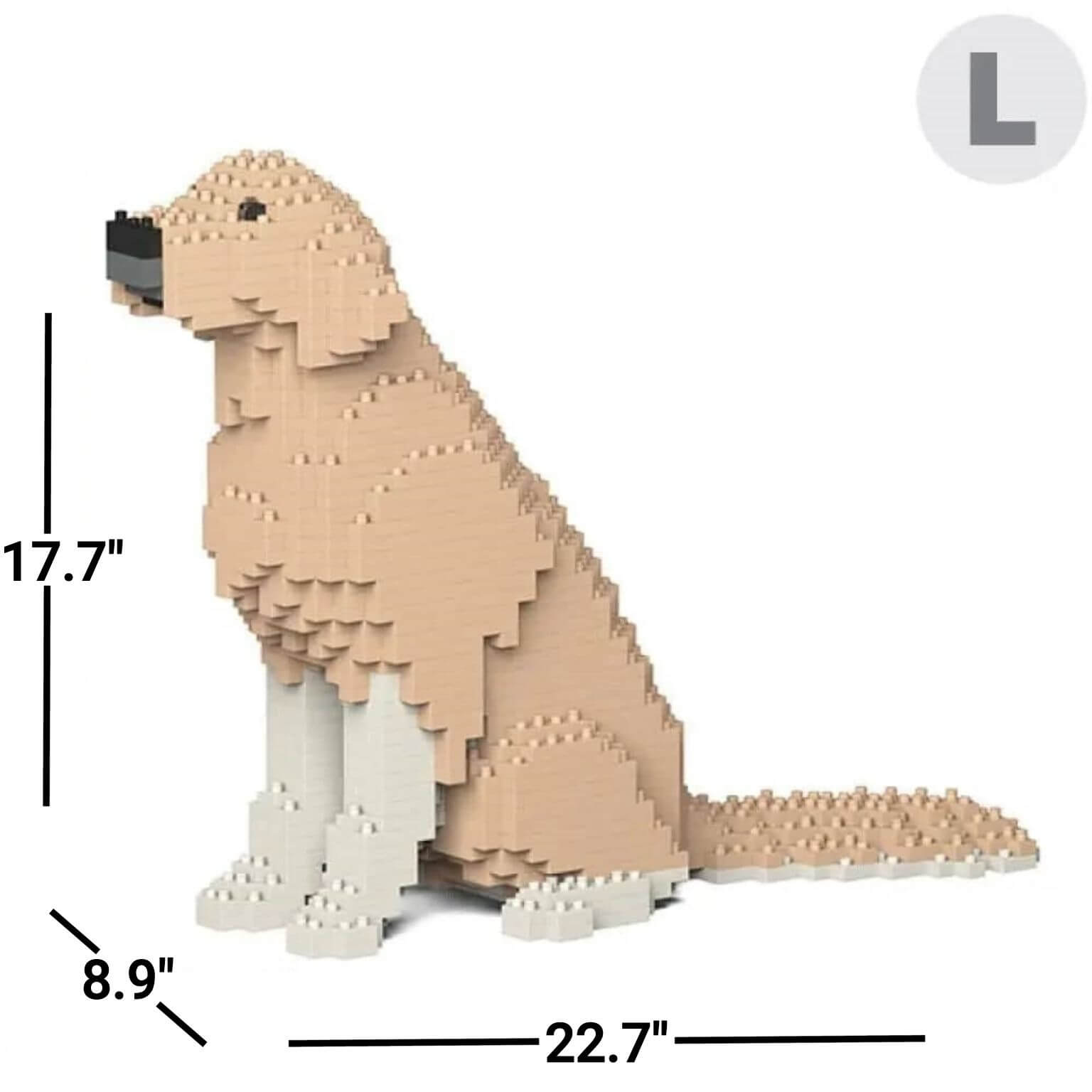 large-yellowandwhite-sitting