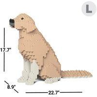 large-yellowandwhite-sitting