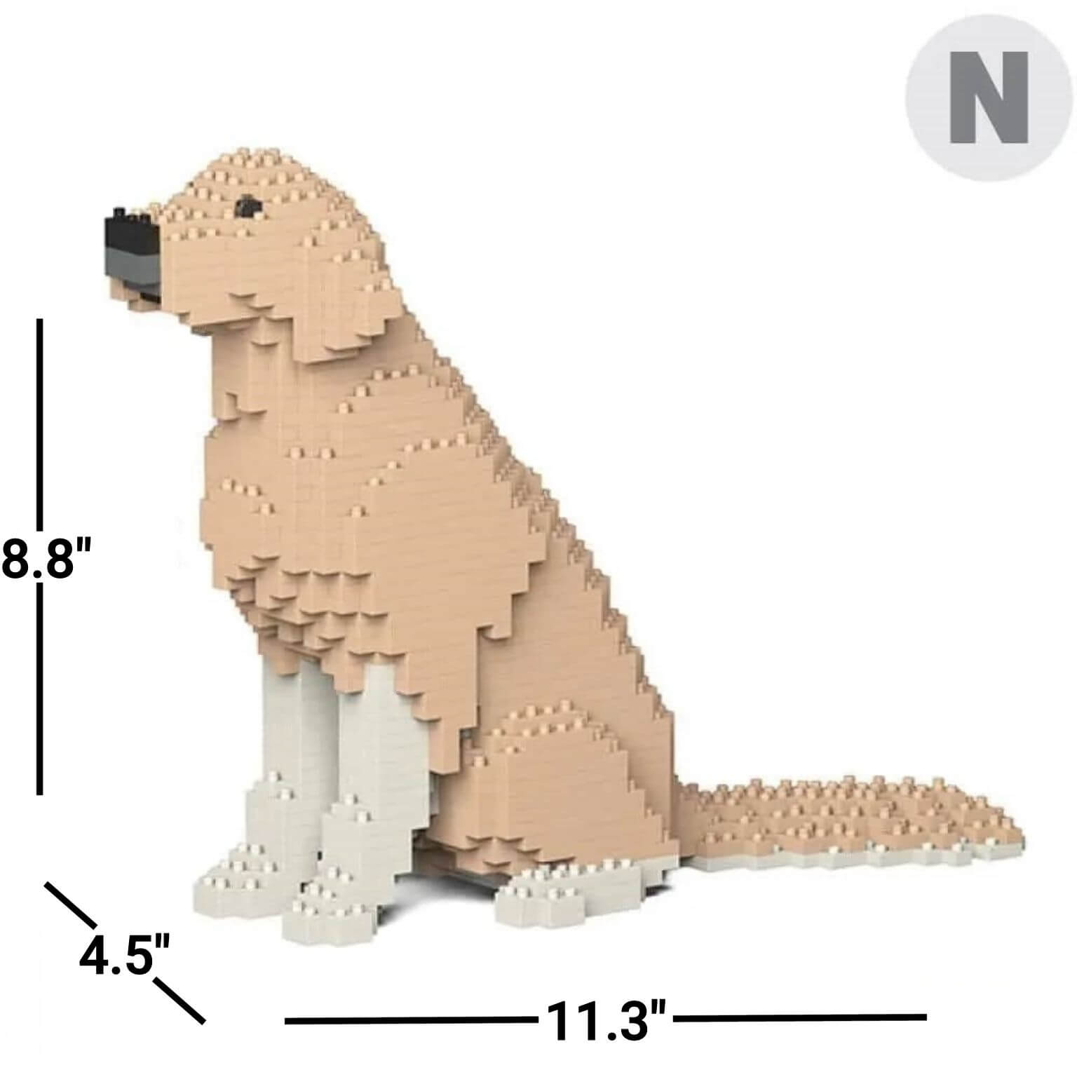 normal-yellowandwhite-sitting