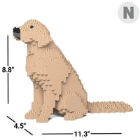 Golden Retriever (SALE) - Yellow - Sitting - normal - yellow - sitting