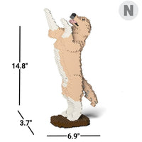 normal-yellowandwhite-tricks