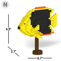 Pez ángel de la belleza de la roca