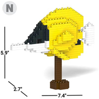 Pinzas para pez mariposa
