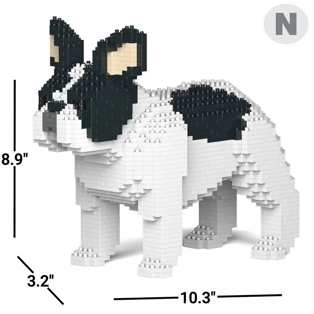 French Bulldog (SALE) - White - Standing - standing - normal - white
