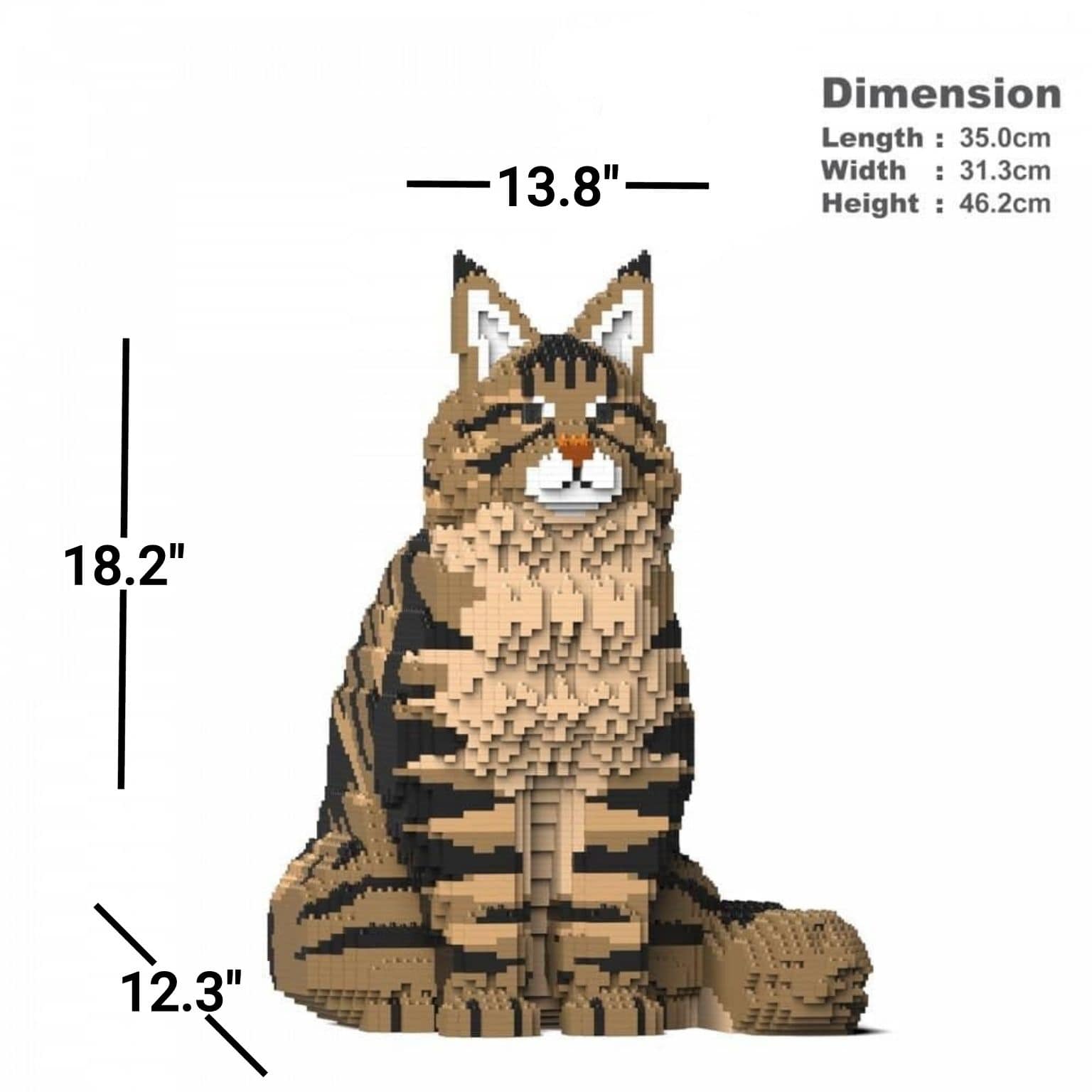 Maine Coon