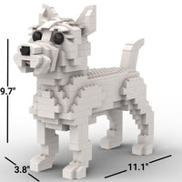 Cairn Terrier