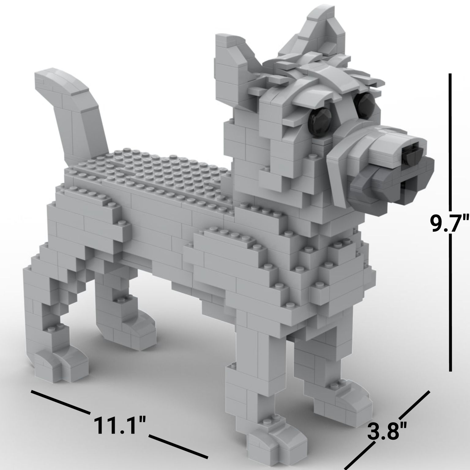 Cairn Terrier