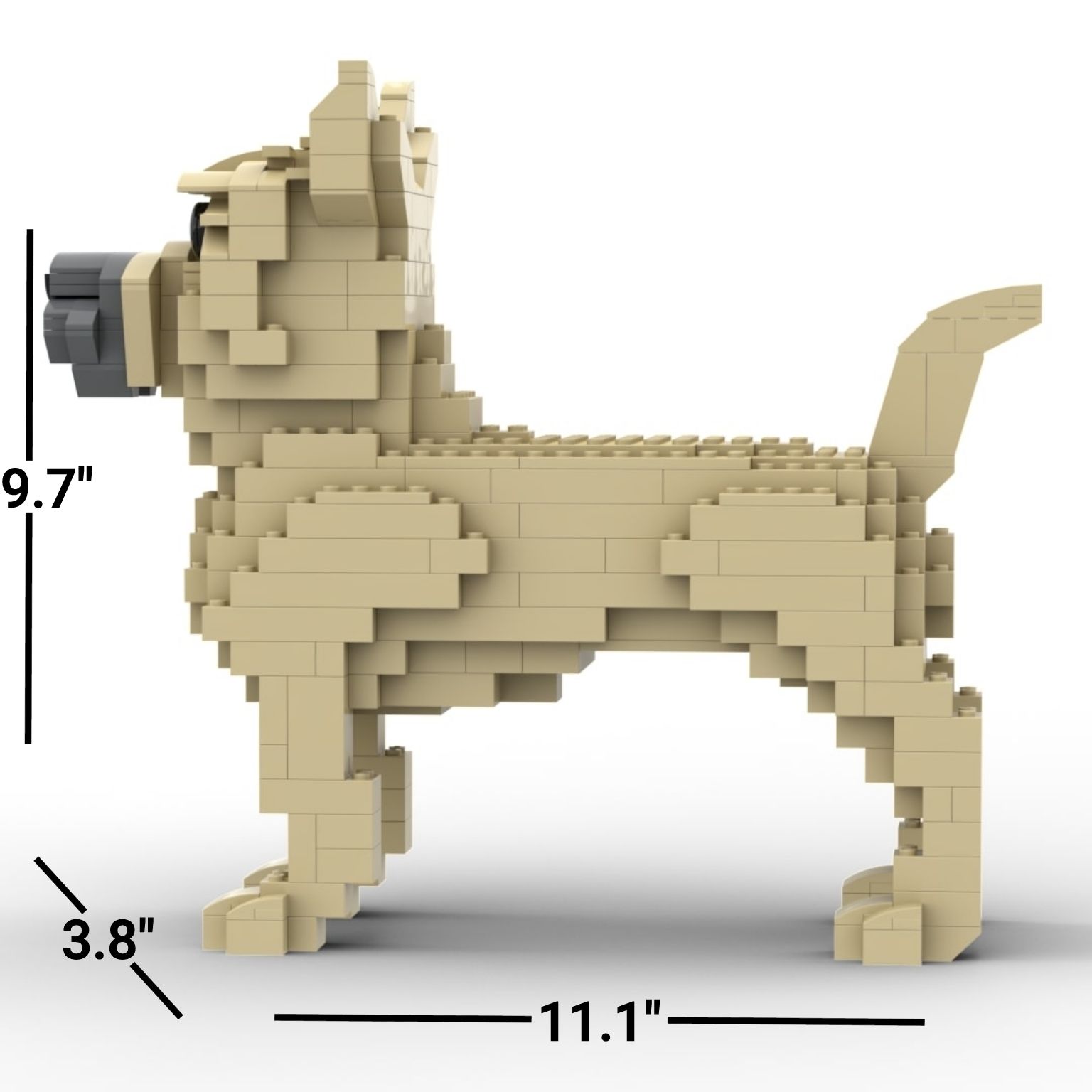 Cairn Terrier