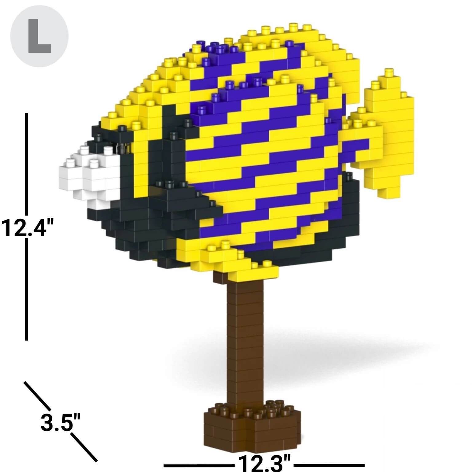 Pez ángel emperador