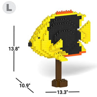 Pez ángel de la belleza de la roca