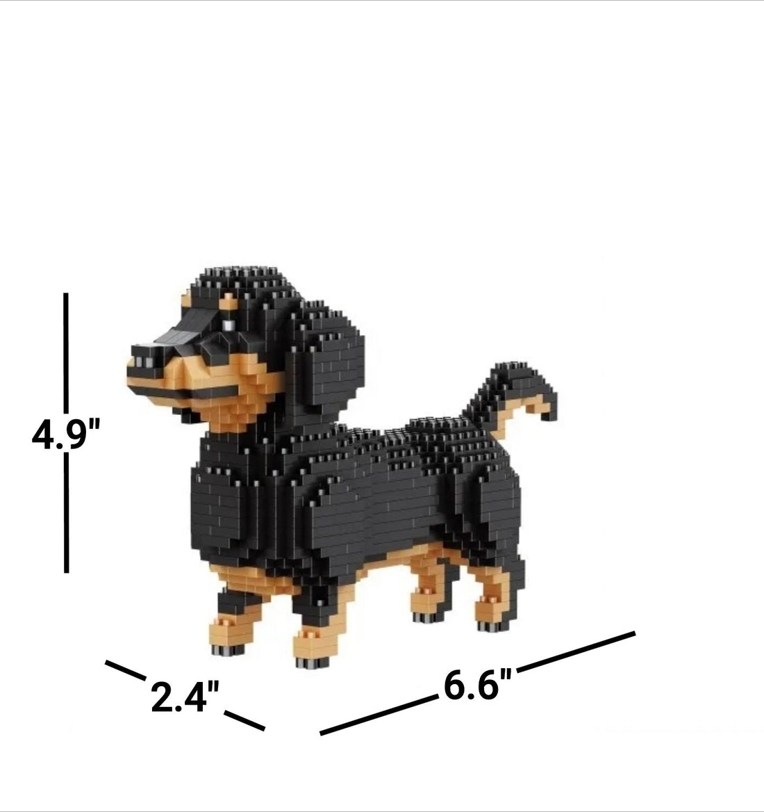 Perro salchicha realista