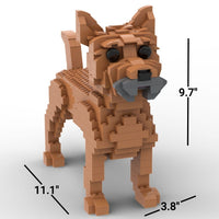 Cairn Terrier