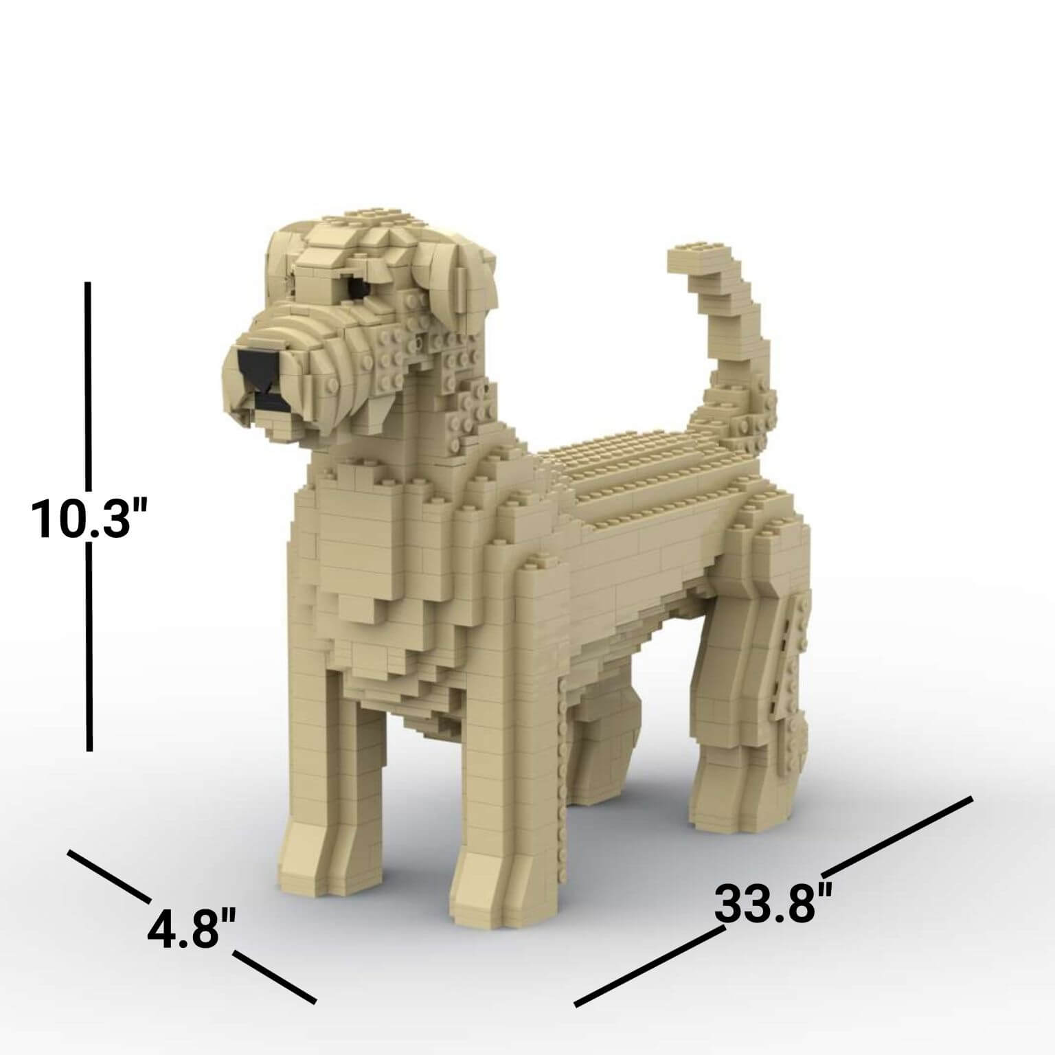 Terrier de trigo de pelo suave