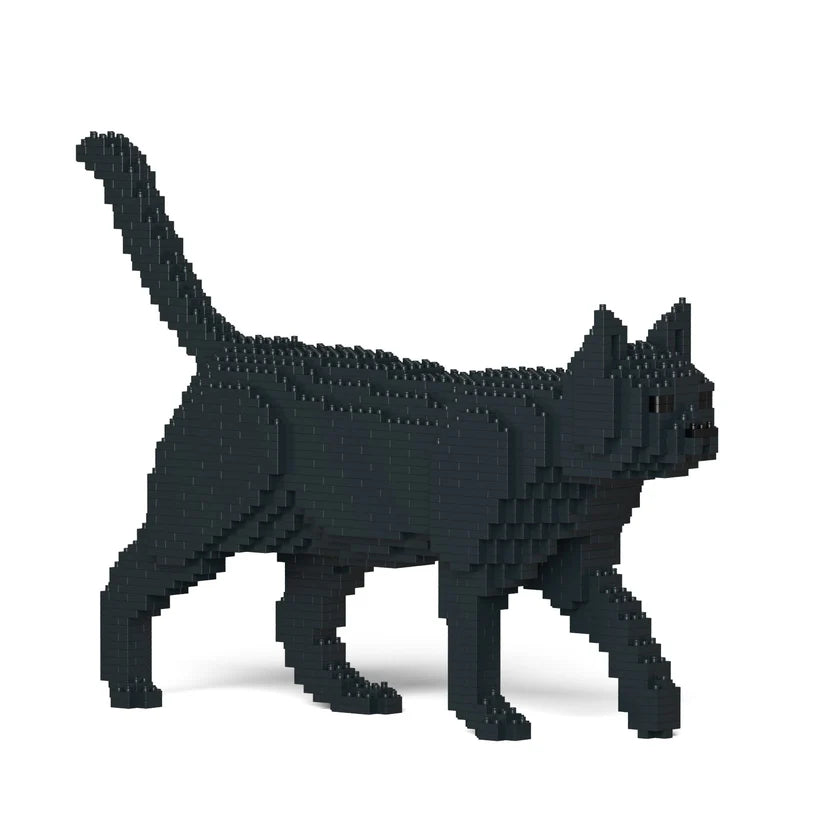 Gato Negro (VENTA)
