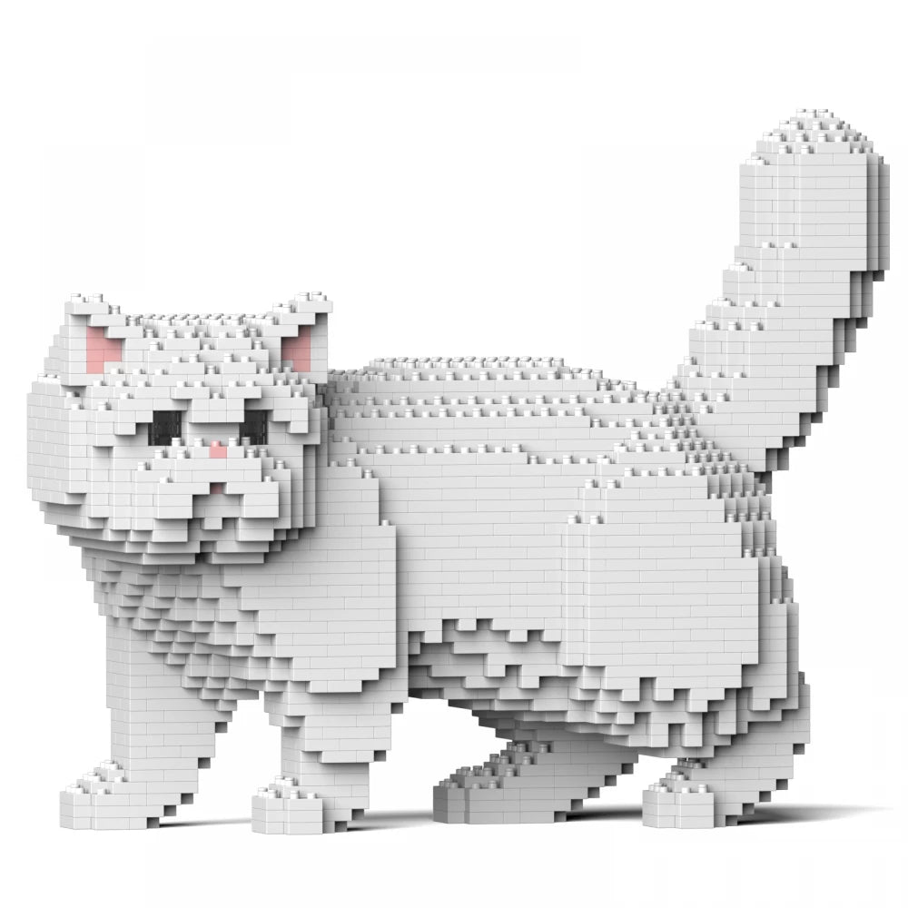 Exótico de pelo corto