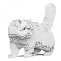 Exótico de pelo corto