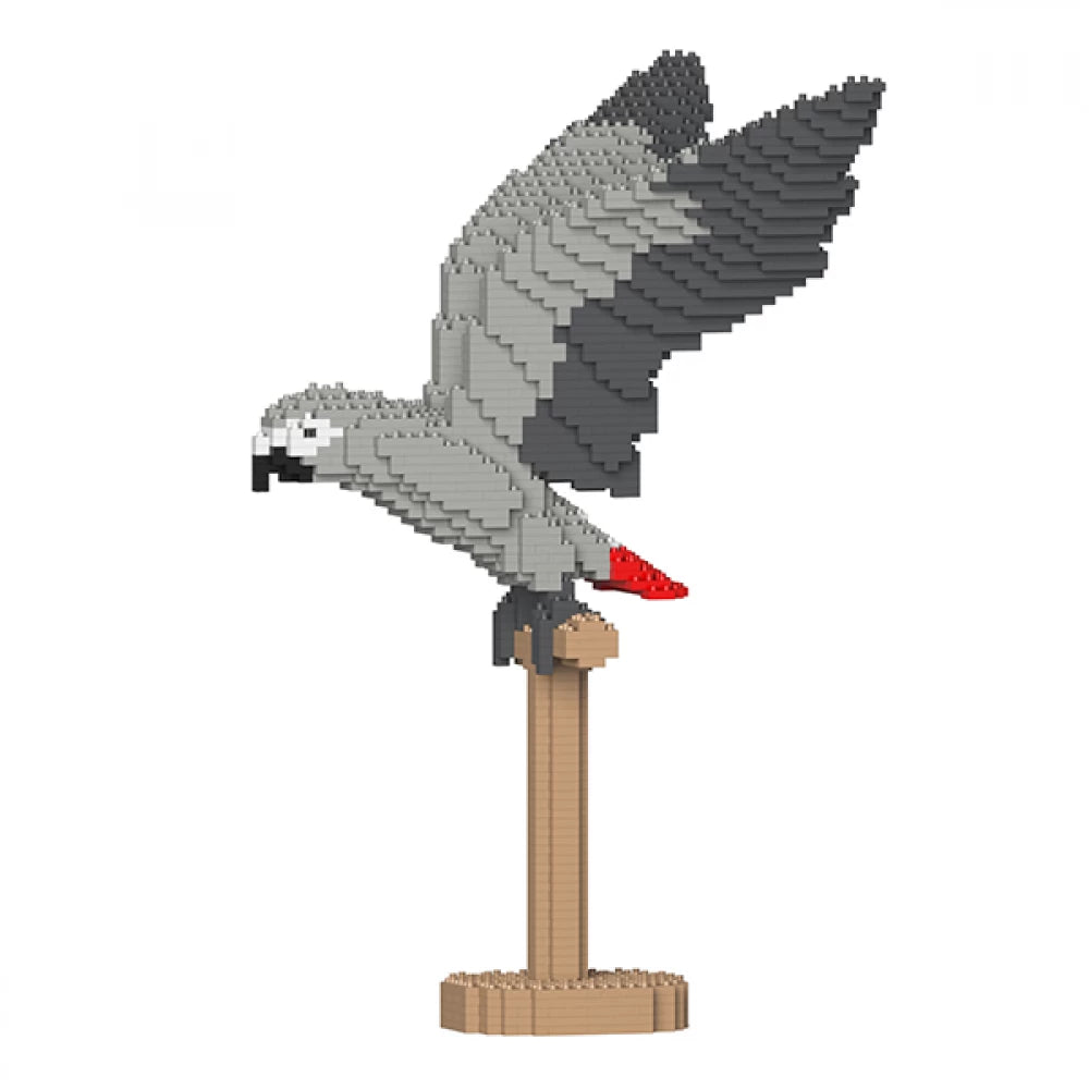 African Grey