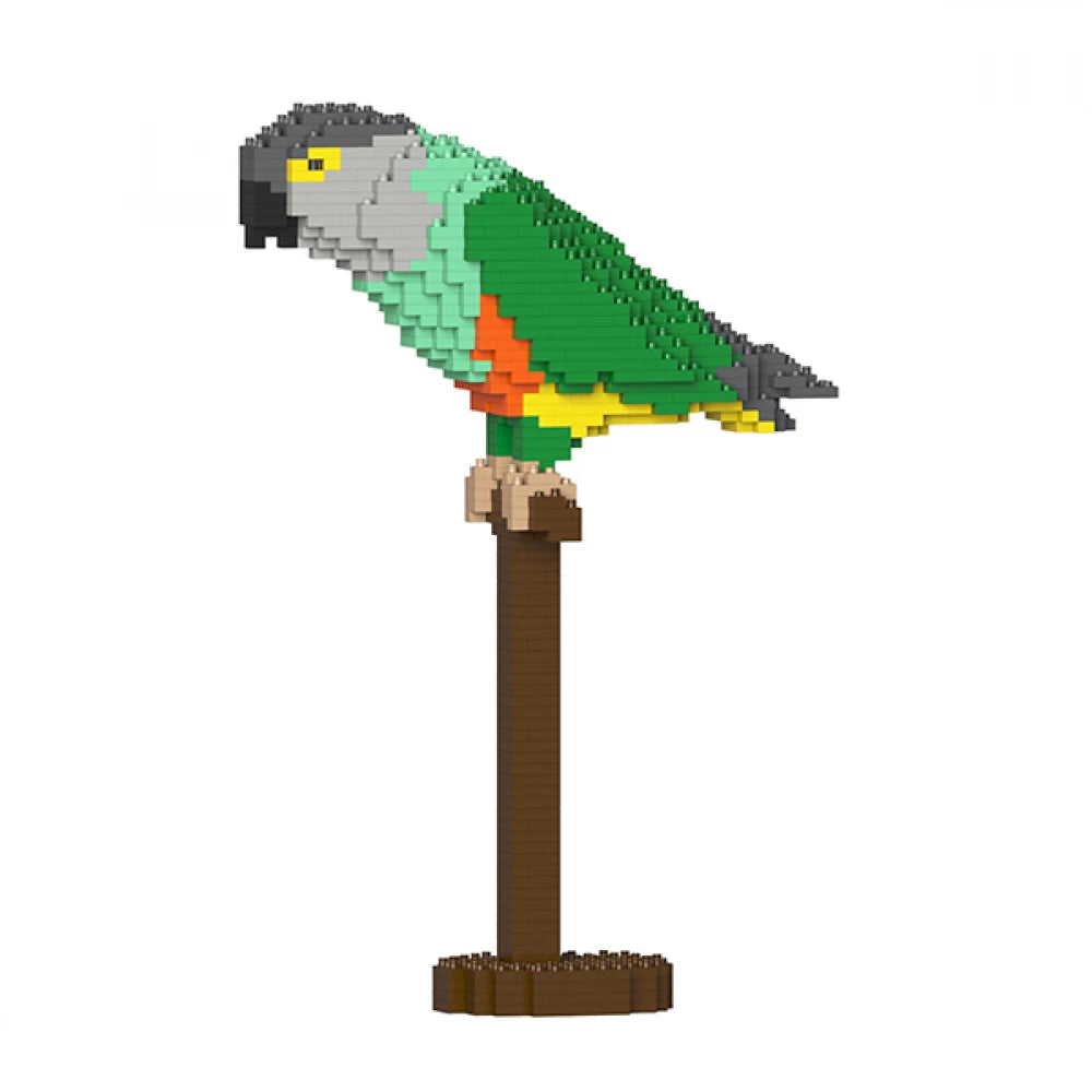Senegal Parrot