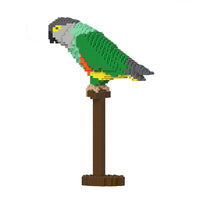 Senegal Parrot