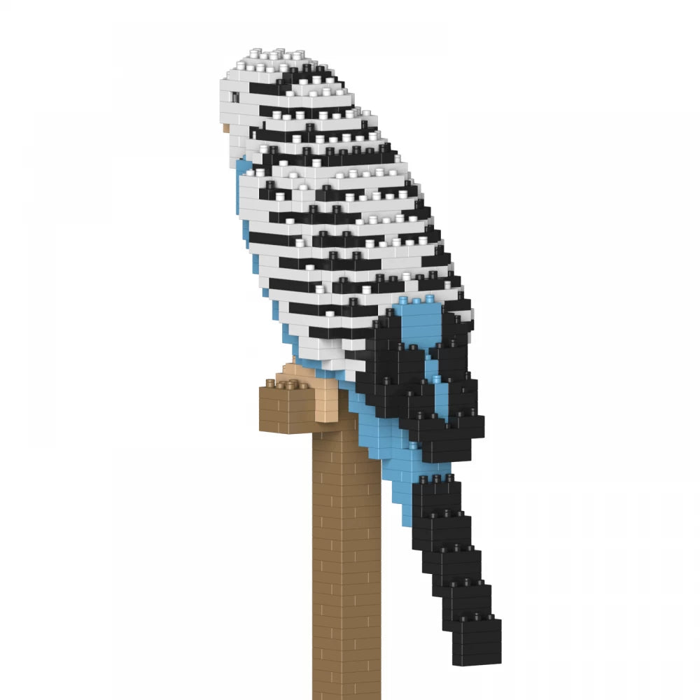Budgie