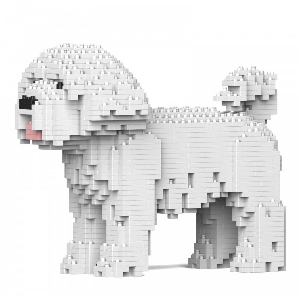 Maltese (SALE) - normal - white