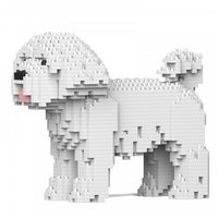 Maltese (SALE) - normal - white