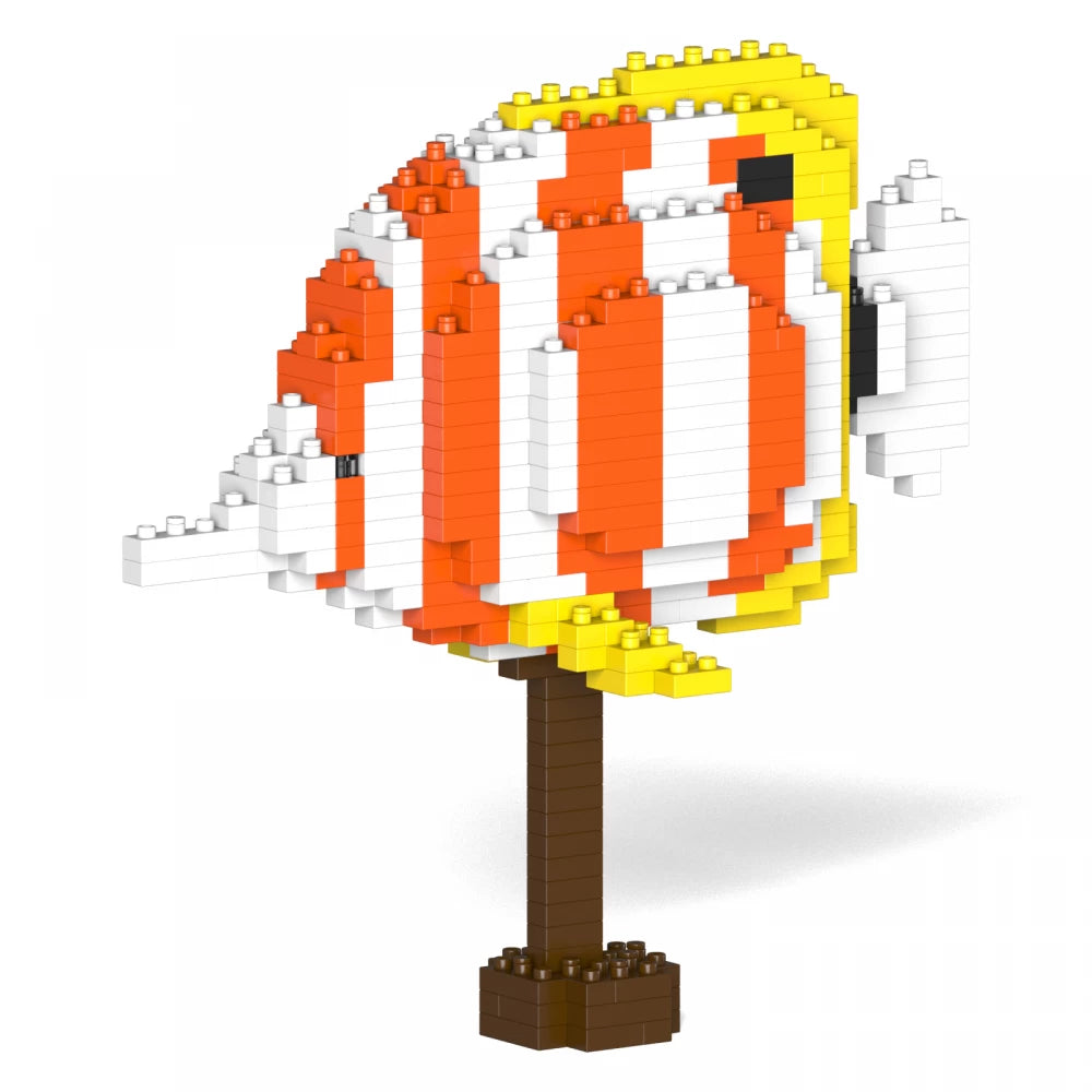 Copper Banded Butterflyfish