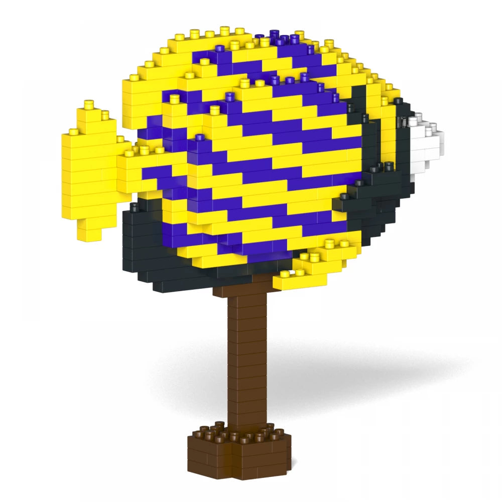 Pez ángel emperador