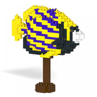 Pez ángel emperador