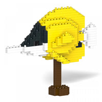 Pinzas para pez mariposa