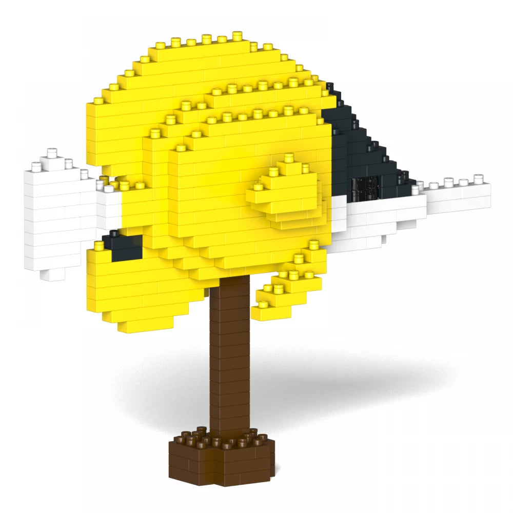 Forceps Butterflyfish