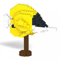 Pinzas para pez mariposa