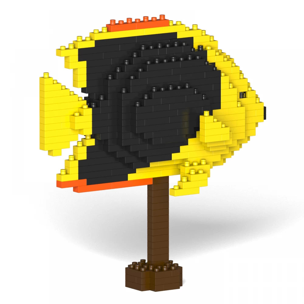 Pez ángel de la belleza de la roca