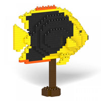 Pez ángel de la belleza de la roca