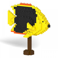 Pez ángel de la belleza de la roca