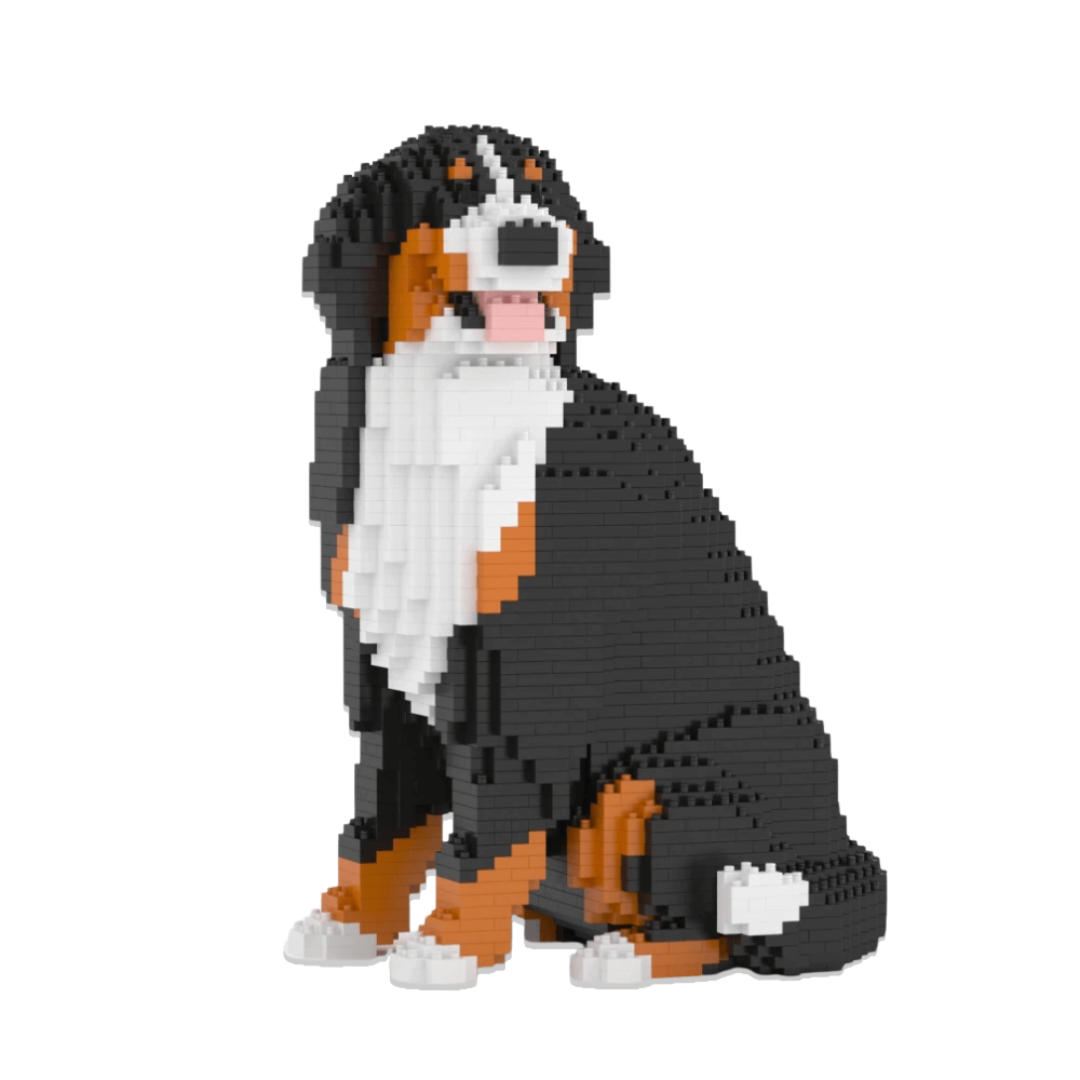 Perro de montaña bernés (VENTA)