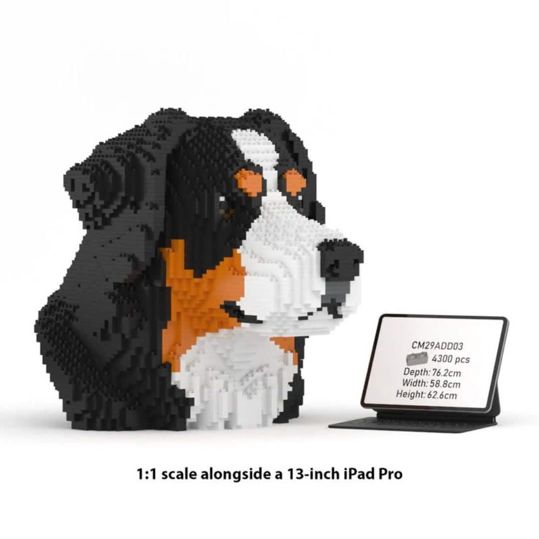 Busto de perro de montaña bernés