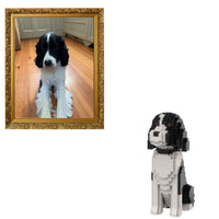 Kit personalizado para mascotas