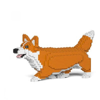 Corgi galés