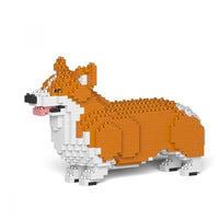 Corgi galés