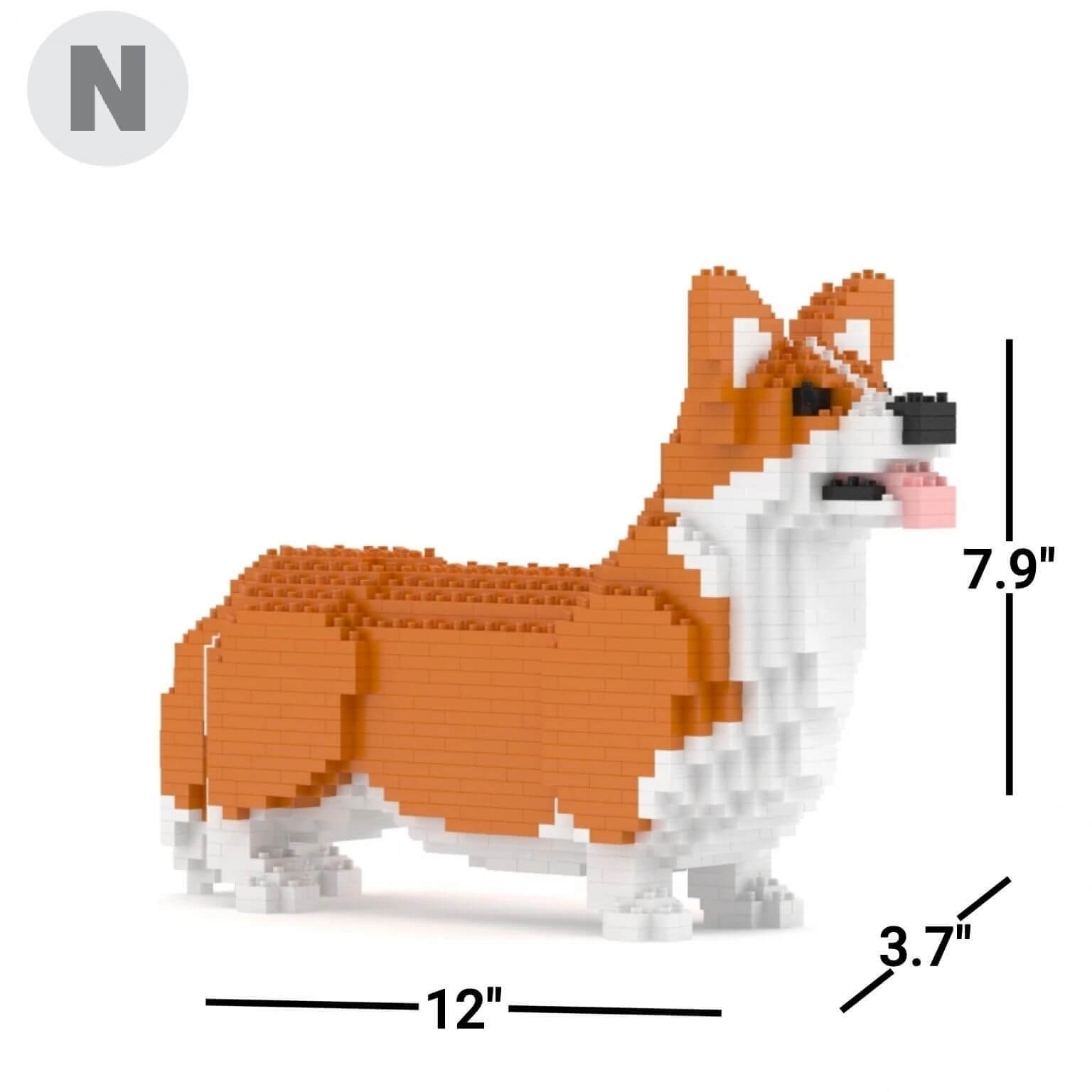 Corgi galés