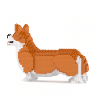 Corgi galés