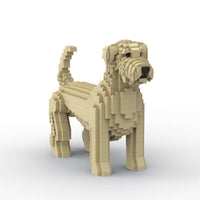 Terrier de trigo de pelo suave