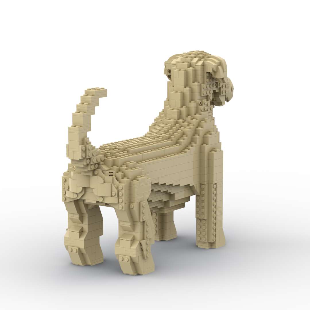 Terrier de trigo de pelo suave