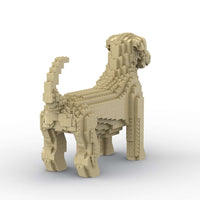 Terrier de trigo de pelo suave