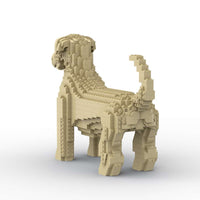 Terrier de trigo de pelo suave