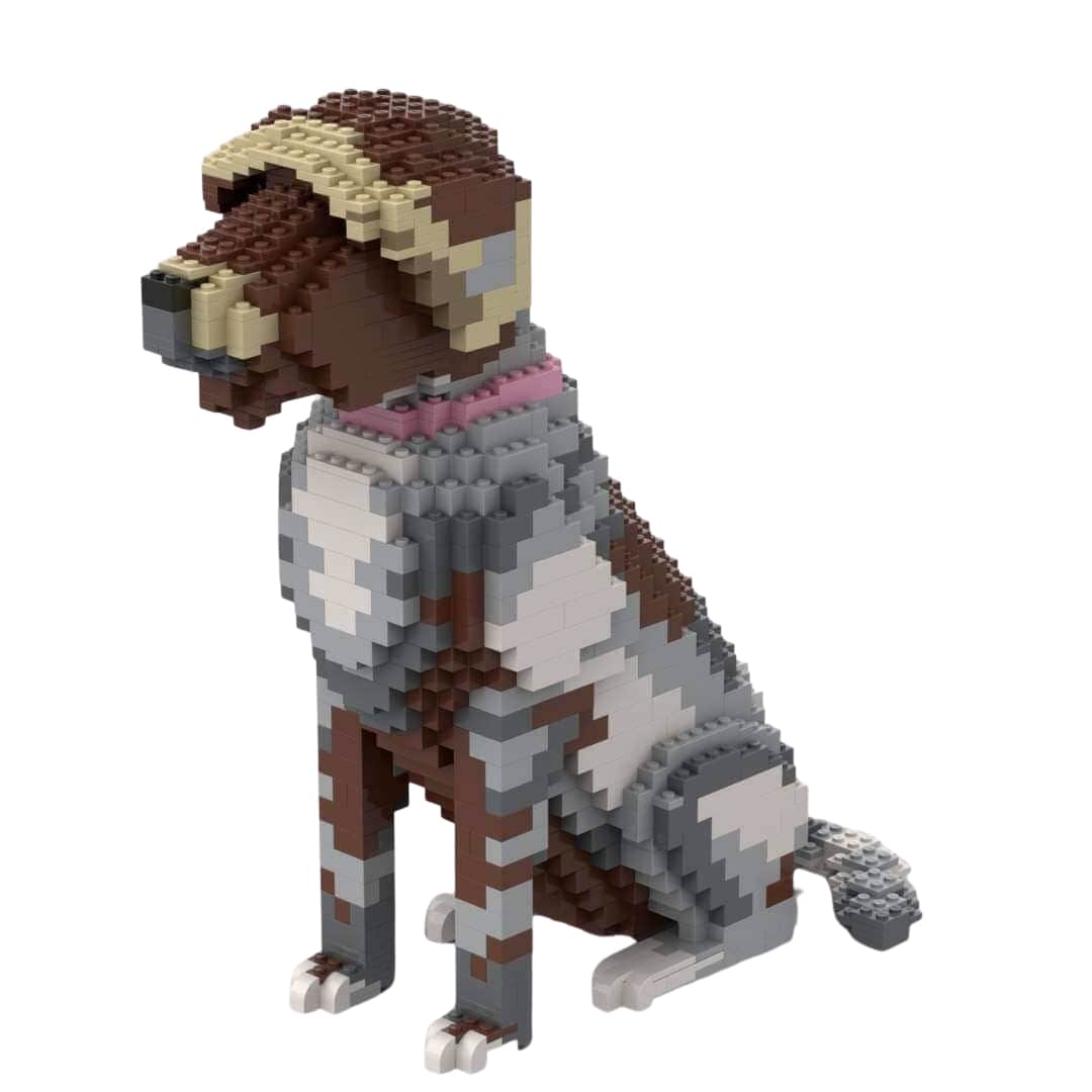 Wirehaired Pointing Griffon