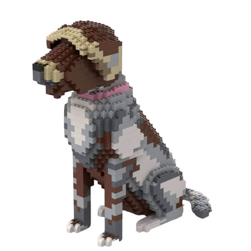 Wirehaired Pointing Griffon