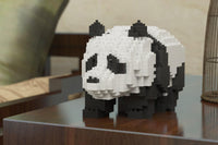 Oso panda