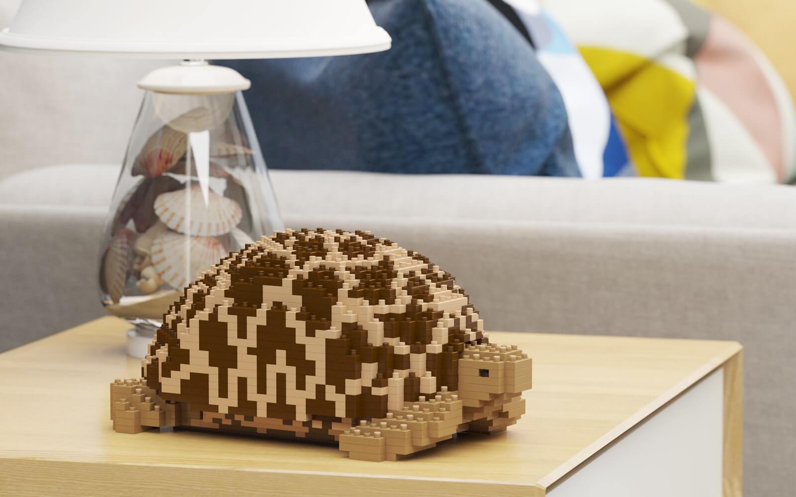 Tortuga estrellada india